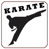 Karate Fight Training Lessons icon
