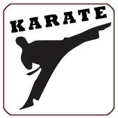 Karate Fight Training Lessons 0.41
