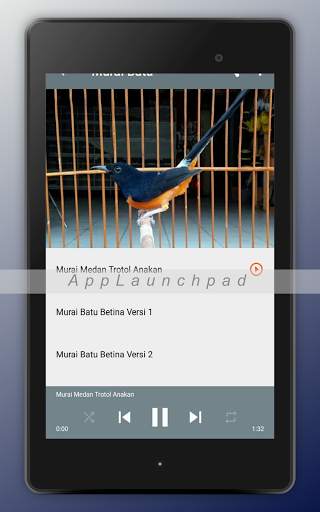 Kicau Burung Terlengkap screenshot 15