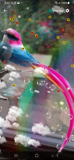 Bird Live Wallpaper screenshot 9