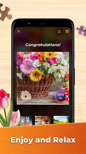 Jeux de Puzzle Pour Adultes screenshot 3