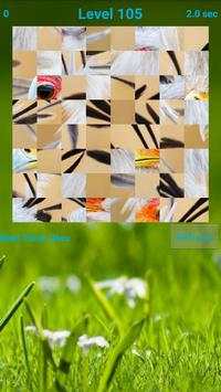 Birds Puzzle screenshot 5