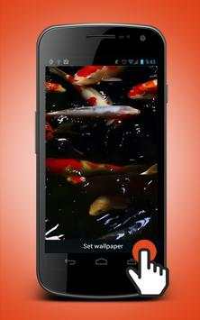 Koi Fish Live Wallpaper screenshot 1