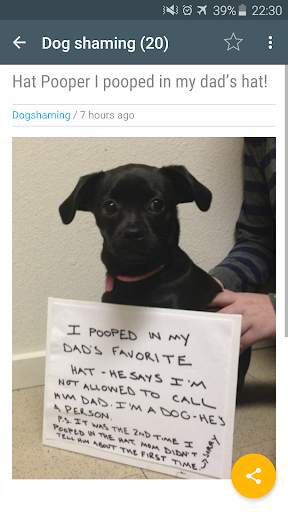 Cute funny puppy & cat photos screenshot 6
