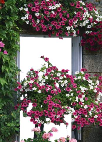 Flower Frames Photo Maker screenshot 16