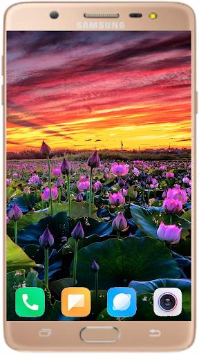 Lotus Wallpaper Best HD screenshot 1