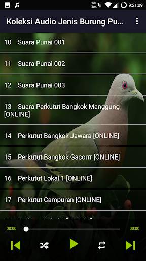 Suara Punai: Green Pigeon screenshot 5