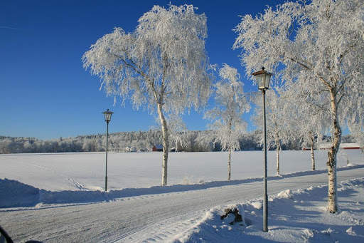 Sweden Wallpaper Travel screenshot 20