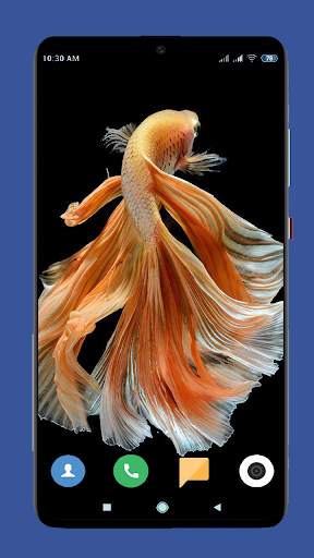 Betta Fish Wallpaper HD screenshot 3