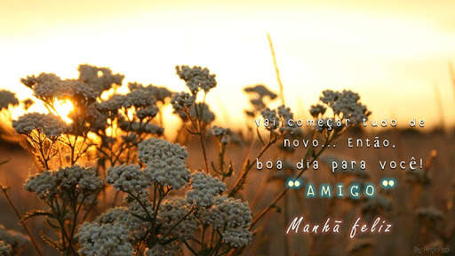 Imagens com Frases de Bom Dia Amor 6 تصوير الشاشة