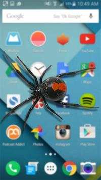 Spider in Phone Funny Joke screenshot 1