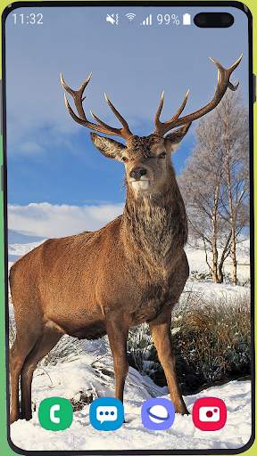 Deer Wallpaper HD screenshot 12