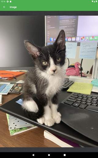 Imgur Browser screenshot 14