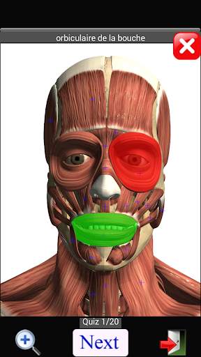 Anatomy Quiz screenshot 3