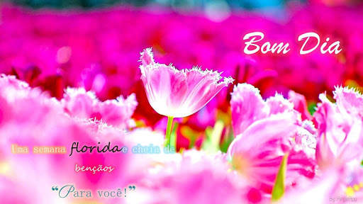 Imagens com Frases de Bom Dia Amor 1 تصوير الشاشة