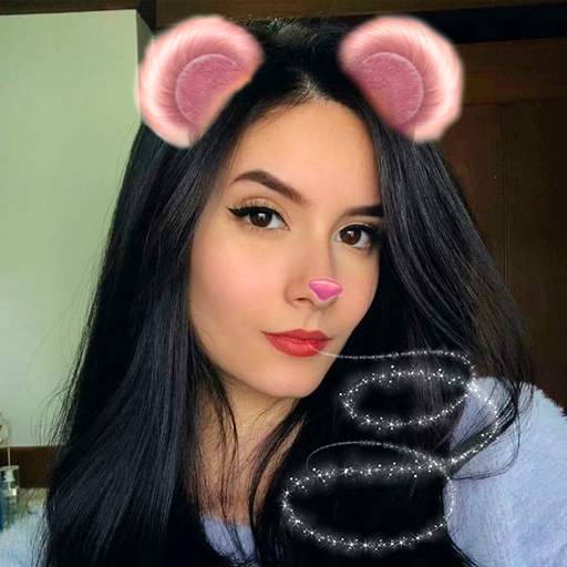 Snappy Photo Filter 0.1