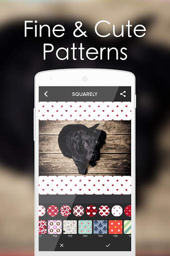 Squarely- no crop photo editor screenshot 3