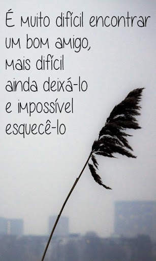 Friendship quotes in Portugues screenshot 1