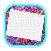 Photo Editor - Transparent logo