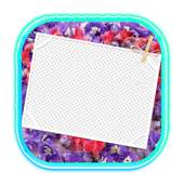 Photo Editor - Transparent 1.0