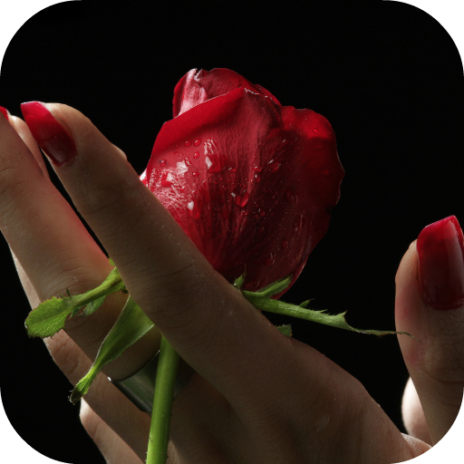 Girl And Rose Live Wallpaper icon