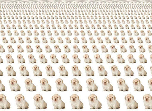 Stickers del Perrito Triste para WhatsApp 🐶 screenshot 9