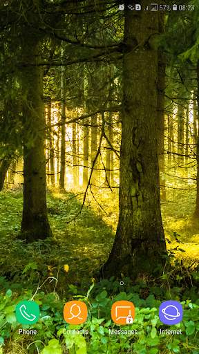 Forest Wallpaper screenshot 7