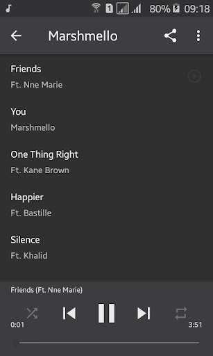 Marshmello Offline screenshot 5