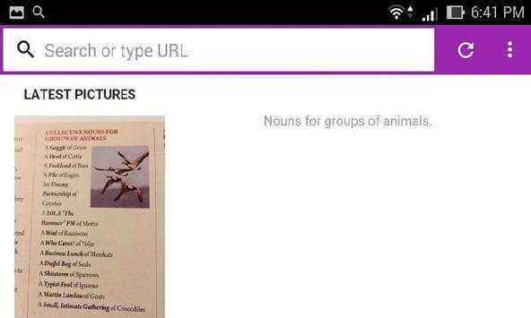 Royal Browser screenshot 6