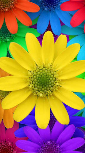 Flower Wallpaper 4K, Floral Background: Flowery screenshot 8