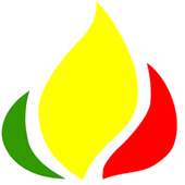 Ethiopian News logo