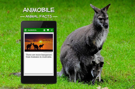 Funny Animal Facts with Pictures screenshot 8