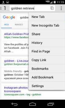 Fast Internet Browser screenshot 2