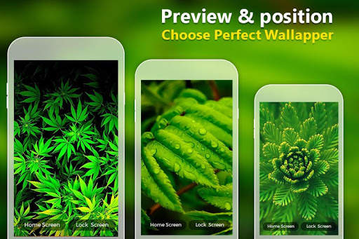 Weed Wallpaper screenshot 5