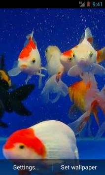 Gold Fish screenshot 1