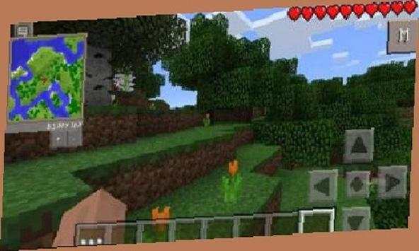 Minimap Mod For Minecraft PE screenshot 2