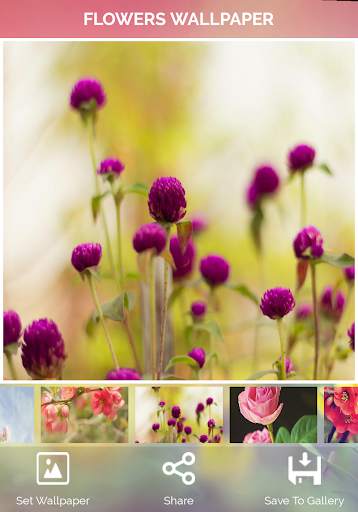 Flowers Wallpaper screenshot 11