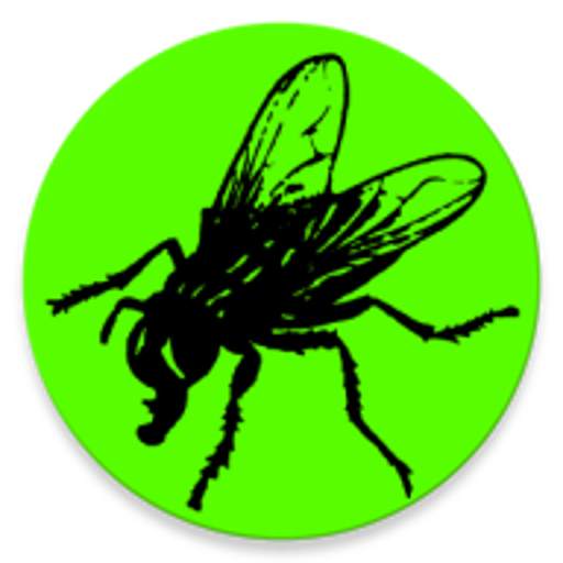 WaSP 1R29