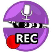 Hidden Record 2.1