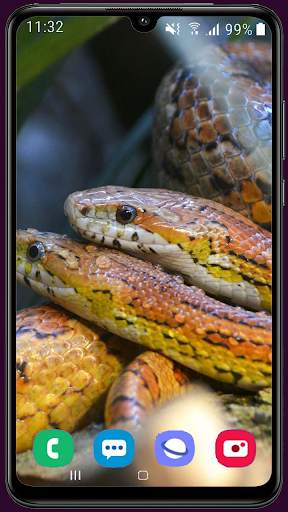 Snake Wallpaper Best HD screenshot 4