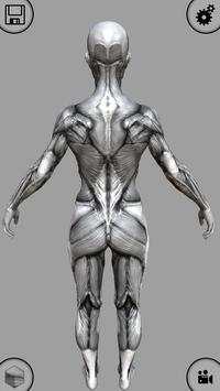 MARA3D Human Anatomy Lite screenshot 6