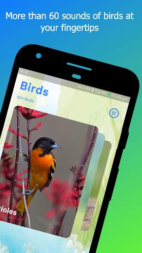 Bird Sounds screenshot 1