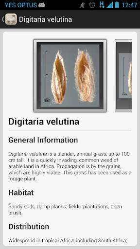 Federal Noxious Weeds Key screenshot 4