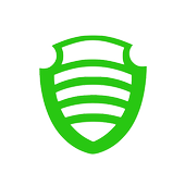 ParkVPN Light icon
