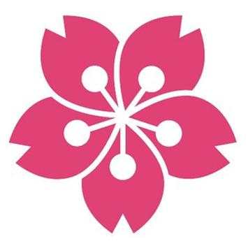 Shinto VPN screenshot 1