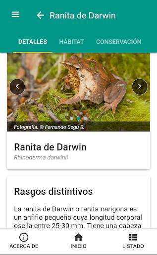 Fauna chilena screenshot 3