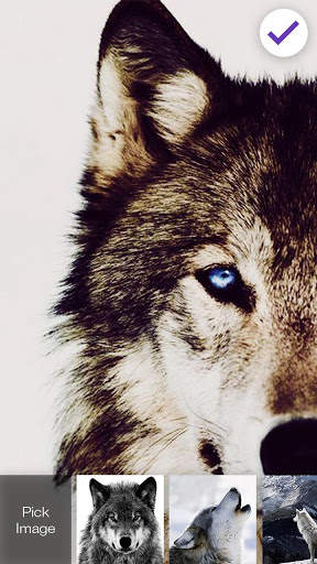 Wolf Animal  Lock Screen 3 تصوير الشاشة