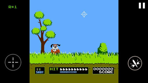 Duck Shooting screenshot 6