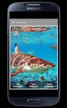 Shark Wallpaper स्क्रीनशॉट 2