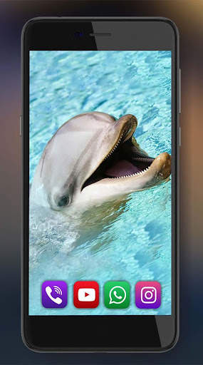 Dolphins Live Wallpaper screenshot 4